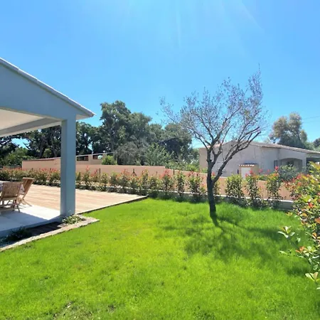 Oliu Di Santa Lucia *