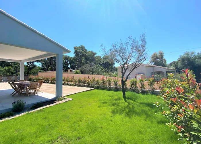 Oliu Di Santa Lucia *